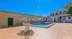 Villa Alicia en Porcuna, Jaén con Piscina y chimenea, Porcuna